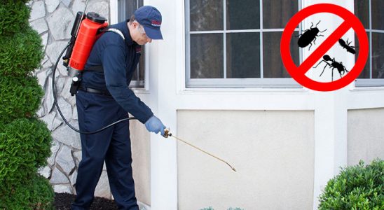 Çiğli Kemirgen İlaçlama böcek ilaçlama ve haşere kontrolü — ilaclama-tr.com
